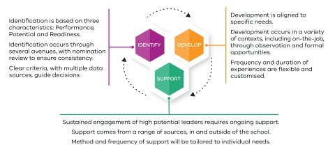 3 stages of the Talent Management Framework 